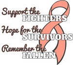 Endometrial Cancer Support Hope Remember Shirts Endometrial Cancer Support Hope Remember Shirts