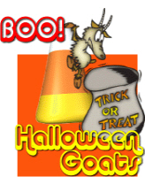 Goat Halloween Goat Halloween
