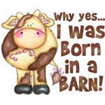 Born in Barn Born in Barn