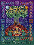 Celtic Tree of Life Design