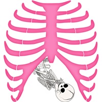 Pink Rib Cage & Baby Skeleton Pink Rib Cage & Baby Skeleton