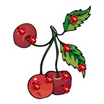 Ladybugs and Cherries Ladybugs and Cherries