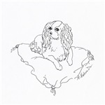 Cavalier King Charles Spaniel dog Cavalier King Charles Spaniel dog