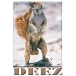 Deez Nuts Deez Nuts
