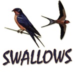 Swallows Swallows