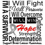Brain Cancer Persevere Shirts Brain Cancer Persevere Shirts