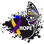 Hope Grunge Butterfly Bladder Cancer Shirts Hope Grunge Butterfly Bladder Cancer Shirts