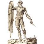 Anatomia del Corpo Humano Anatomia del Corpo Humano
