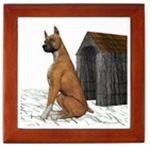 Dogs Dogs