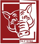 Year of the Boar Year of the Boar