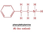Love Molecule