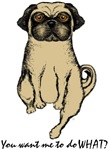 Grumpy Pug