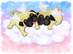 Pug Angels