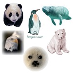 T-shirts for Dinosaurs, Pandas, Penguins, Moose