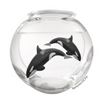 Mini Whales Mini Whales