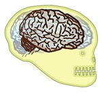Skull Brained Skull Brained