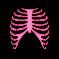 Pink Human Rib Cage Pink Human Rib Cage