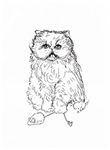 Persian Cat Playing Cat Games Persian Cat Playing Cat Games