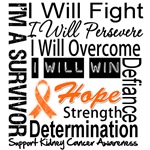 Kidney Cancer Persevere Shirts Kidney Cancer Persevere Shirts
