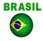 Brasil 2-4034