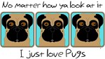 I Just Love Pugs