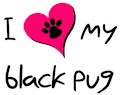 I love my black Pug
