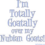 Totally Goatally Nubian Goat Totally Goatally Nubian Goat