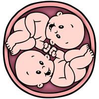 Twin-Yang Twin-Yang