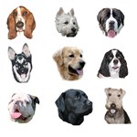 Great Dog Gifts, T-shirts, Mugs and More