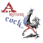 Ameican Cock Ameican Cock