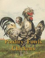 Poultry