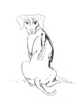 Rhodesian Ridgeback dog design Rhodesian Ridgeback dog design