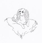 Cavalier King Charles Spaniel dog Cavalier King Charles Spaniel dog