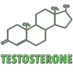 Testosterone Molecule Testosterone Molecule