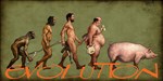 Evolution Evolution