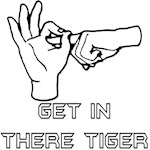Get In There Tiger Get In There Tiger