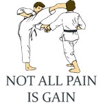 Not All Pain Is Gain Not All Pain Is Gain