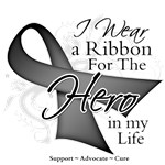 Brain Cancer Hero in My Life Shirts Brain Cancer Hero in My Life Shirts