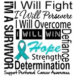 Peritoneal Cancer Persevere Shirts Peritoneal Cancer Persevere Shirts