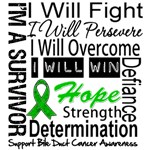Bile Duct Cancer Persevere Shirts Bile Duct Cancer Persevere Shirts