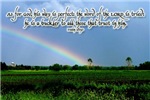Reflections 2008 Bible Verse Wall Calendar