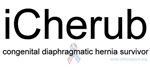 iCherub