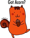 Got Acorn Got Acorn