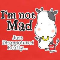 Disappointed Cow Disappointed Cow