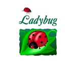 Ladybug Ladybug