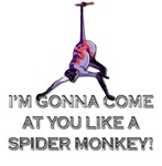 Talladega Nights - Spider Monkey Talladega Nights - Spider Monkey