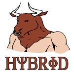 Hybrid Hybrid