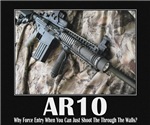 AR10 AR10