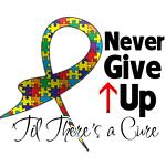 Never Give Up - Autism Never Give Up - Autism