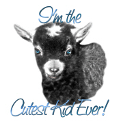 Goat -Cutest Kid Ever Goat -Cutest Kid Ever